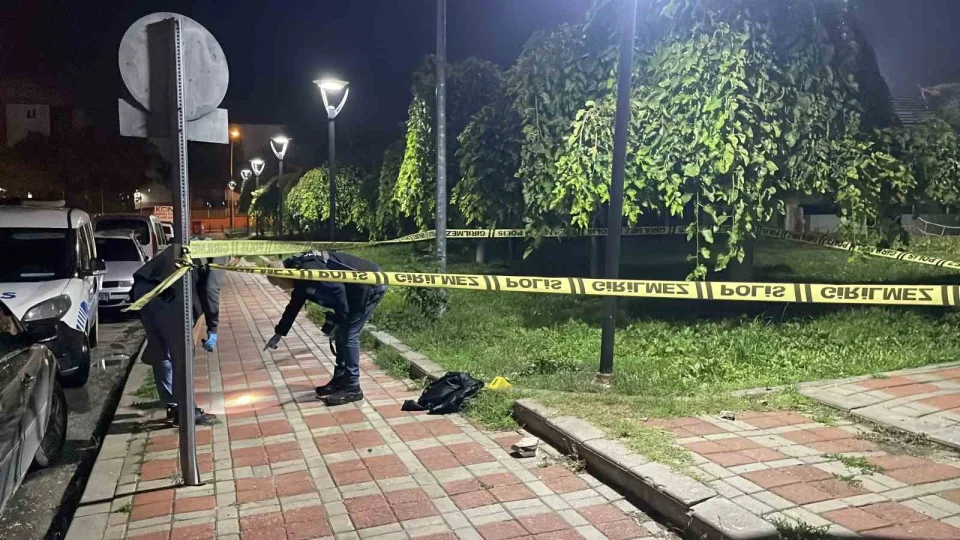 Karaman'da parkta b��aklanan 2 �ocuk a��r yaraland�