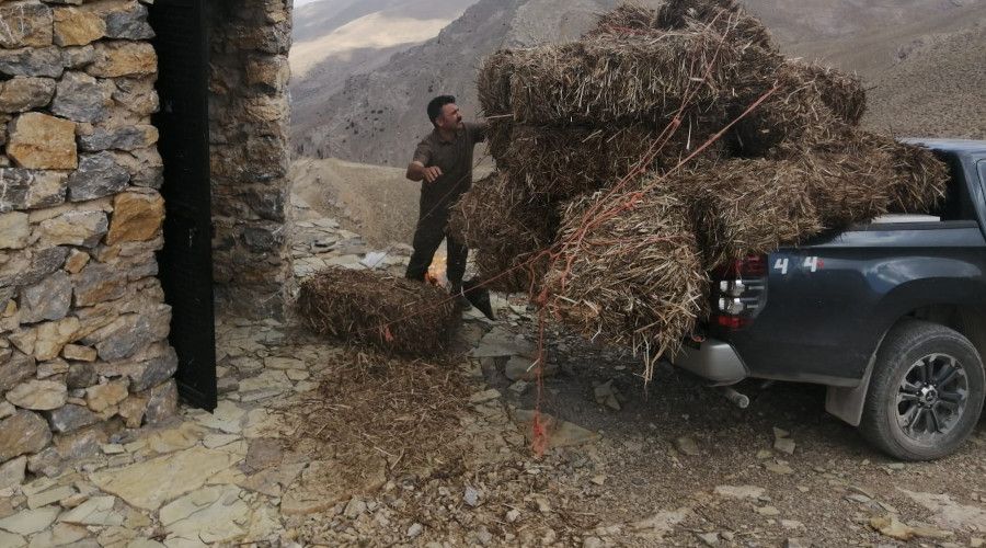 Kayseri'de yaban ke�ileri i�in k�� haz�rl�klar� ba�lad�