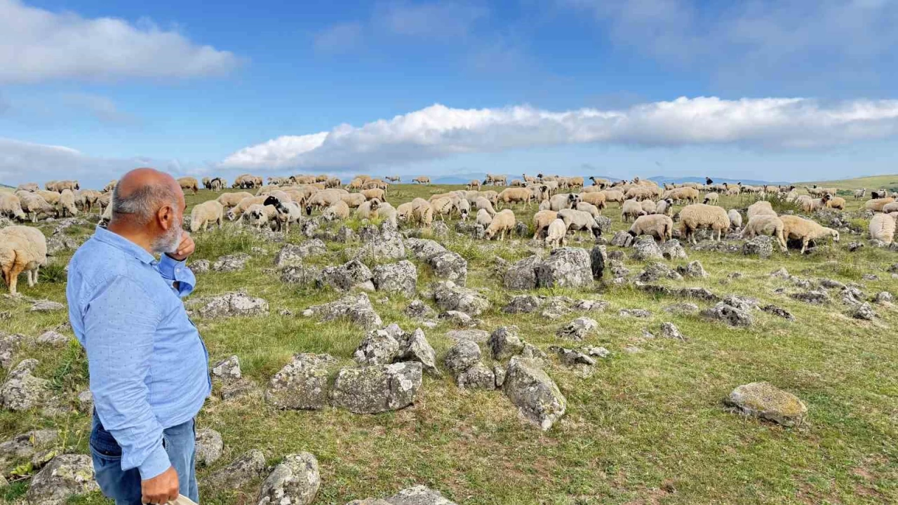 Keçilere yalatılan kayaların mezar taşları olduğu anlaşıldı