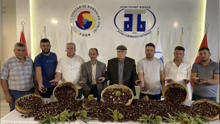 Kestane bu sene de pahalı
