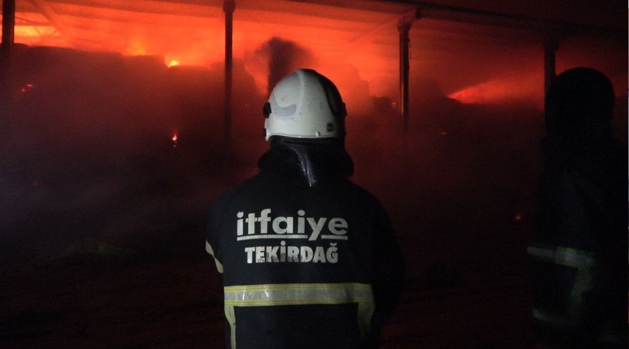 Kırklareli'nde hayvan çiftliğinde yangın