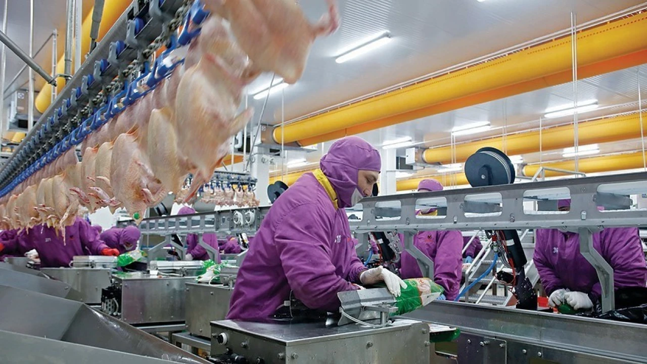 Kırmızı et olmayınca son beş yılın şampiyonu beyaz et oldu