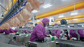 Kırmızı et olmayınca son beş yılın şampiyonu beyaz et oldu