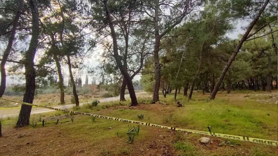 Kollar ve kafas olmayan ceset gizemini koruyor