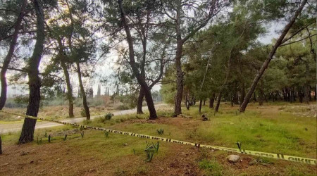 Kollar ve kafas olmayan ceset gizemini koruyor