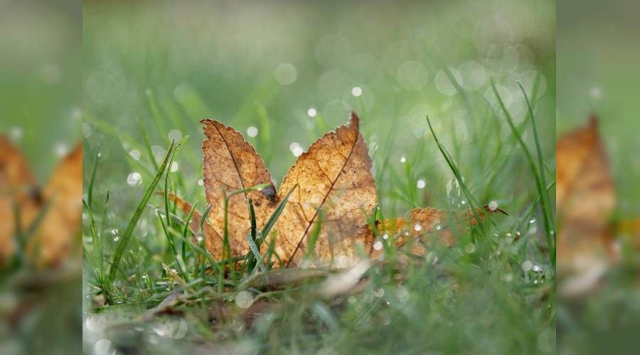 �K�rl�klerin en k�t�s� kalp k�rl���d�r�