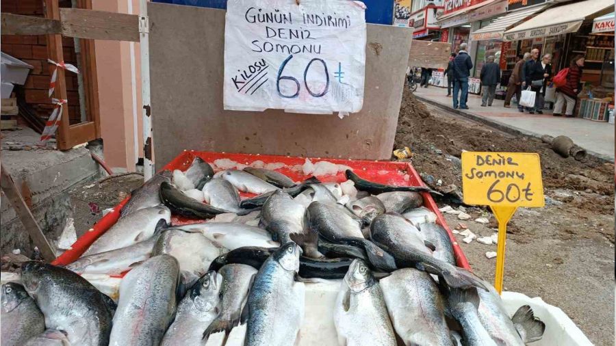 Kültür balıklarına ilgi yoğun