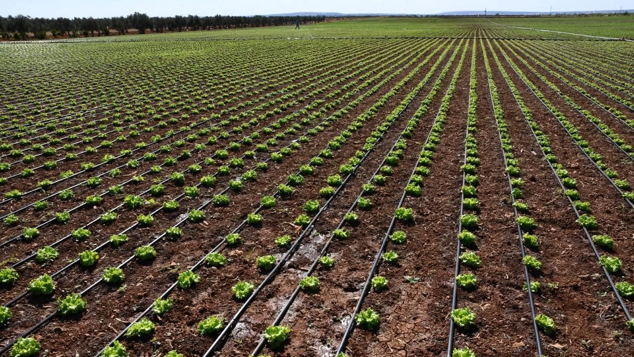 Kurakl�kla m�cadelede modern sulama y�ntemlerinin �nemi