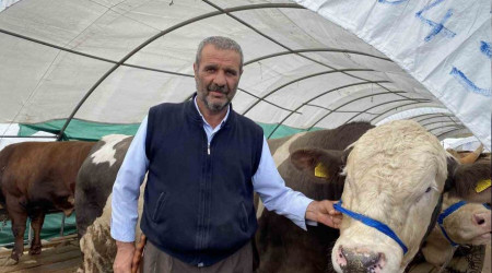 Kurban pazarında satışlar hızla devam ediyor