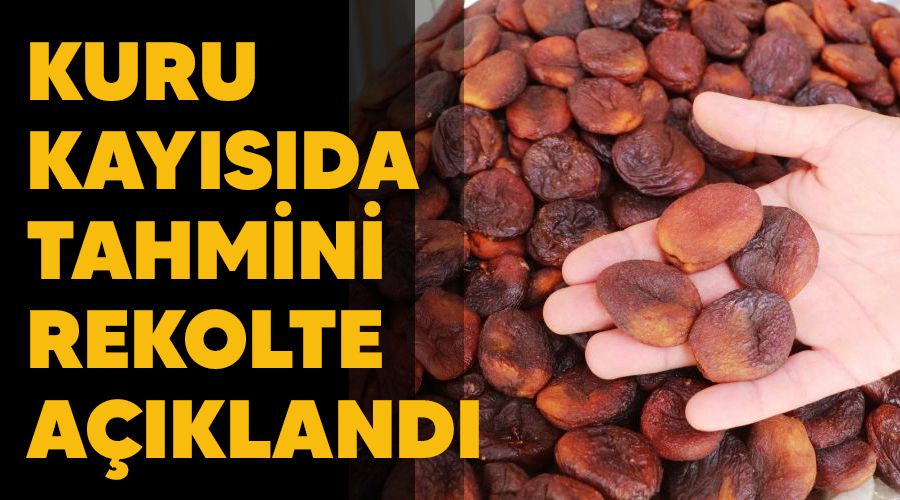 Kuru kay�s�da tahmini rekolte a��kland�