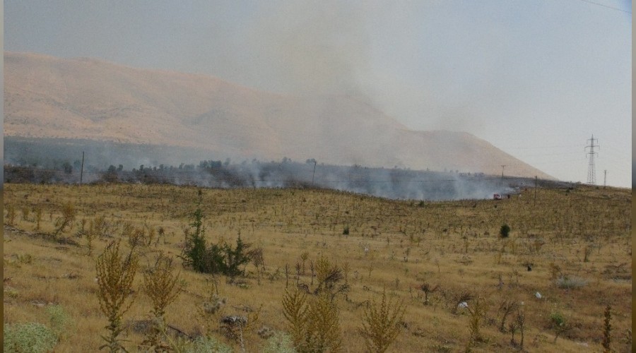 Malatya'da orman yangn