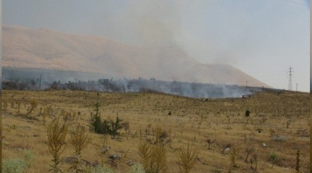 Malatya'da orman yangn