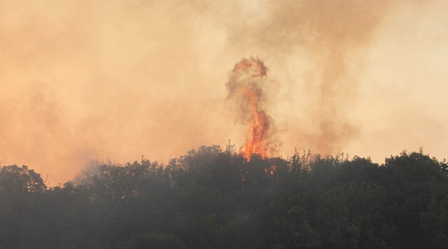 Manisa'da ormanlık alanda 6 farklı noktada yangın