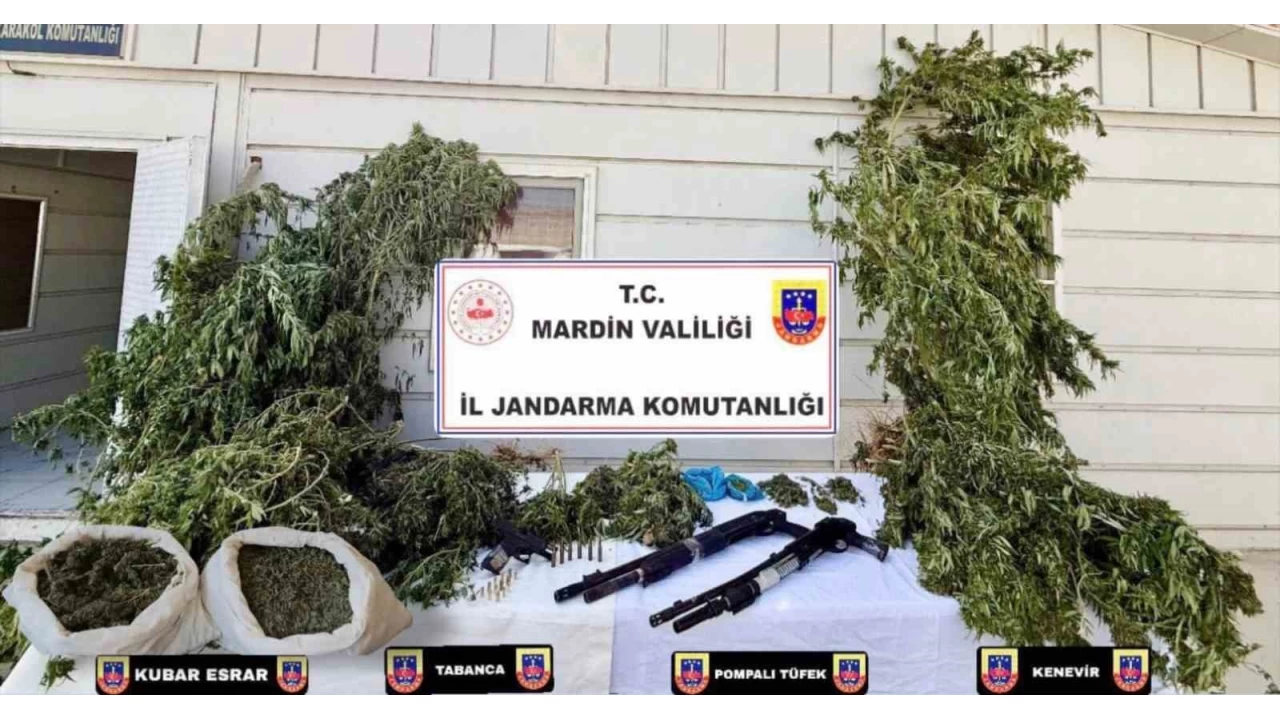 Mardin'de uyuturucu operasyonu: 38 pheli yakaland