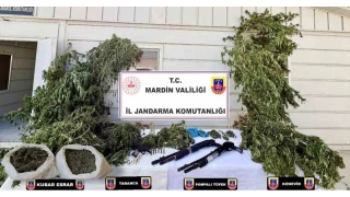 Mardin'de uyuturucu operasyonu: 38 pheli yakaland