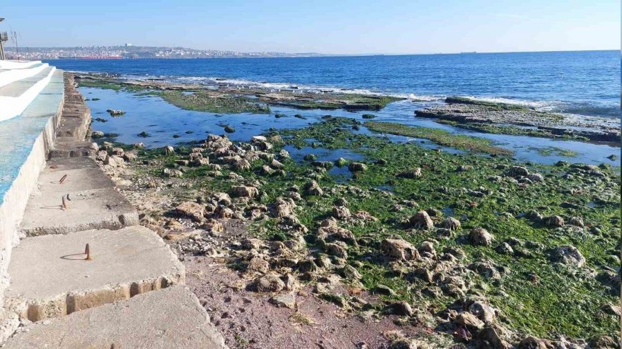 Marmara Denizi 25 metre �ekildi: "Depremle alakas� yok"
