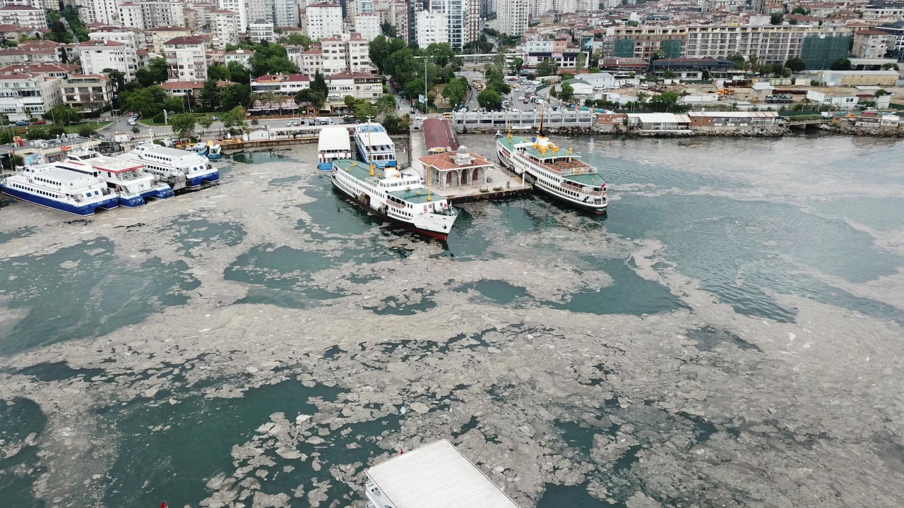 Marmara Denizi'ndeki kirlilik tehdit oluşturuyor