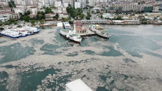 Marmara Denizi'ndeki kirlilik tehdit oluşturuyor