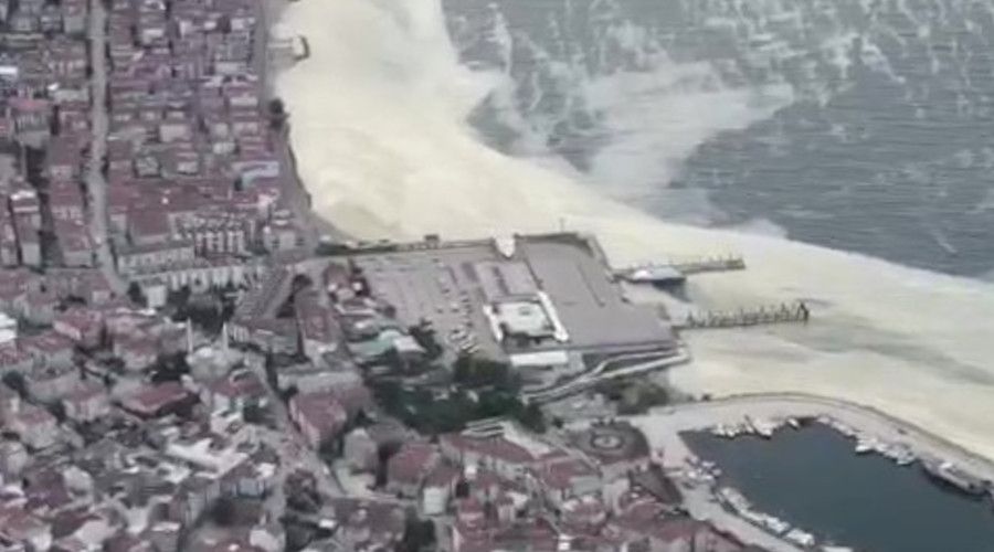 Marmara'da grlen deniz salyasna are: 'at Operasyonu'