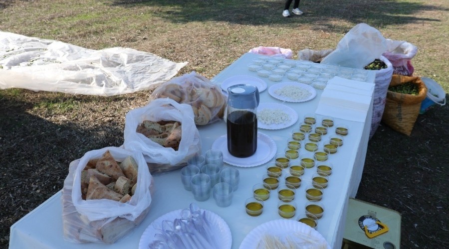 Marmaris Belediyesi tarımsal gelişmeye önem veriyor