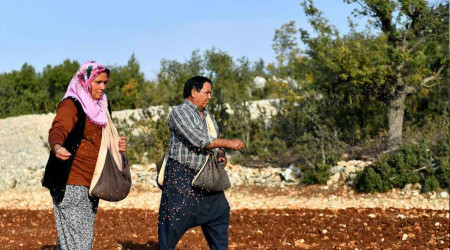 Mersin'de 12 mahallede yerel buğday üretilecek