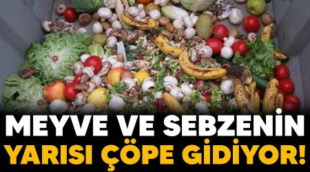 Meyve ve sebzenin yarısı çöpe gidiyor!