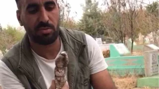 Mezarlıktan kefenlenmiş oyuncak bebek çıktı