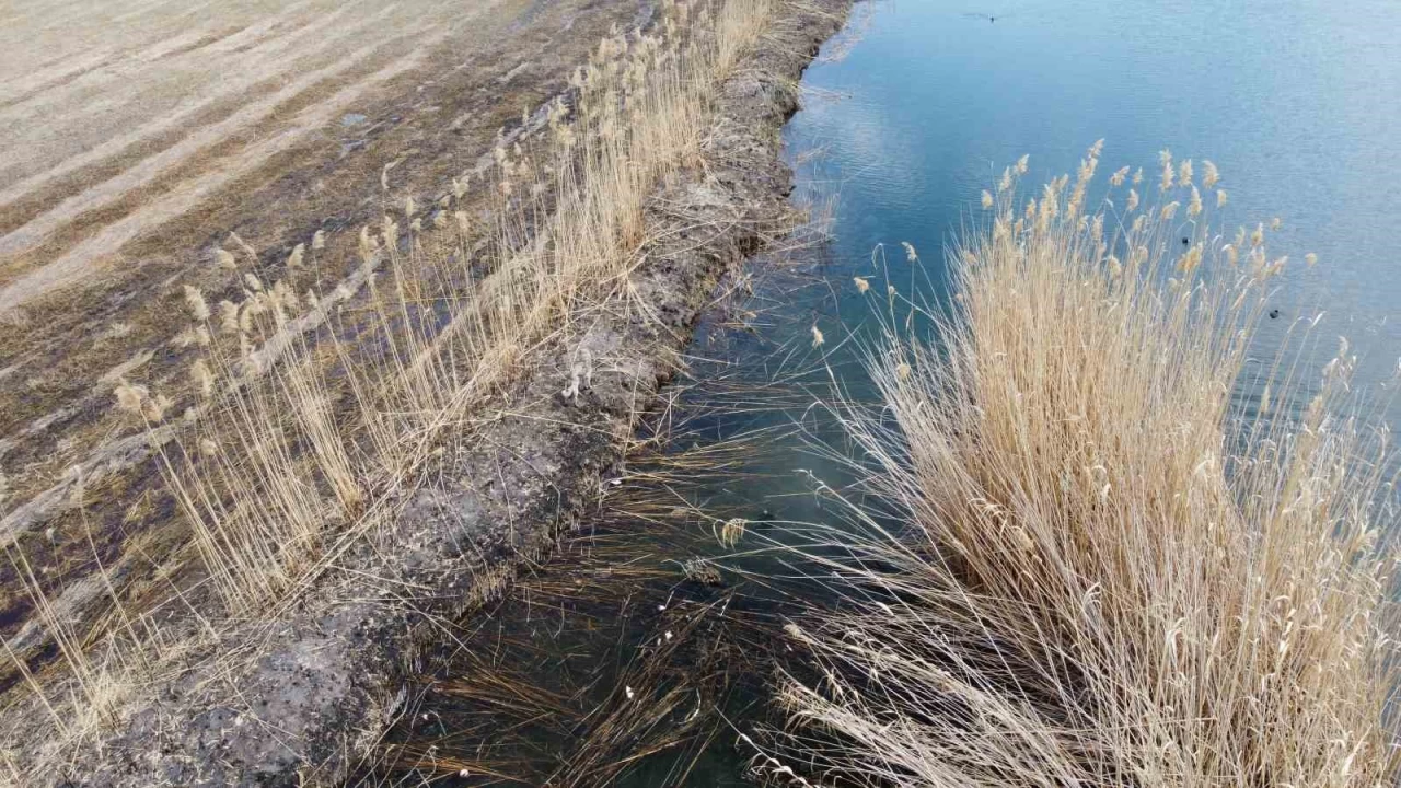 Milli parkta canl�lar�n ya�am alan� yok ediliyor