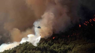 Muğla'da 31 Ekim'e kadar ormanlara giriş yasaklandı