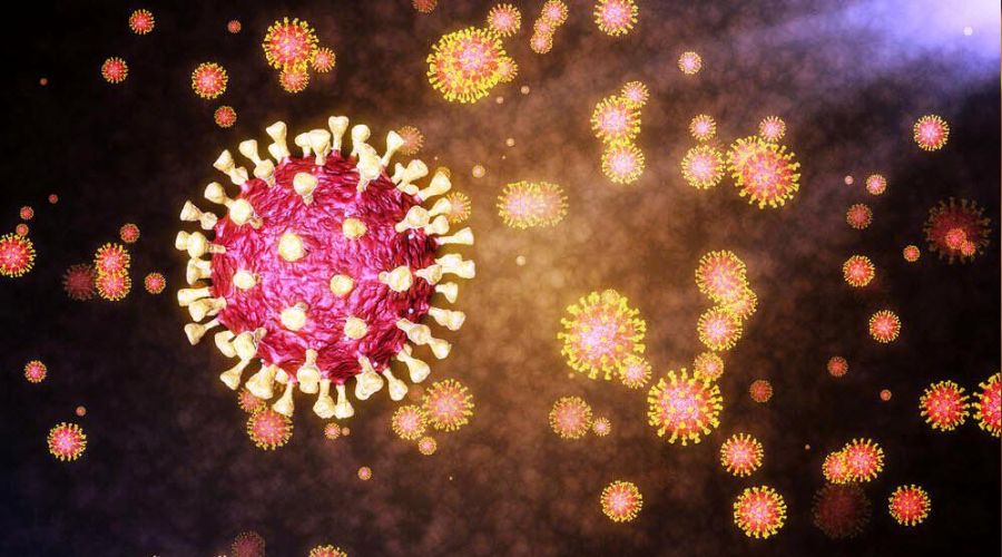 Mutant virüs Arjantin'de de görüldü