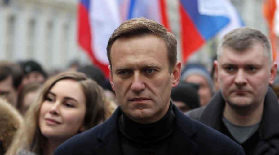 Navalni suni komadan karld