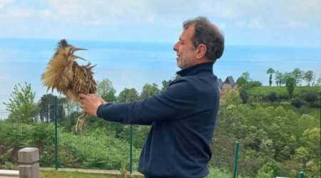 Nesli tükenmekte olan 'Balaban kuşu' Arhavi'de ortaya çıktı