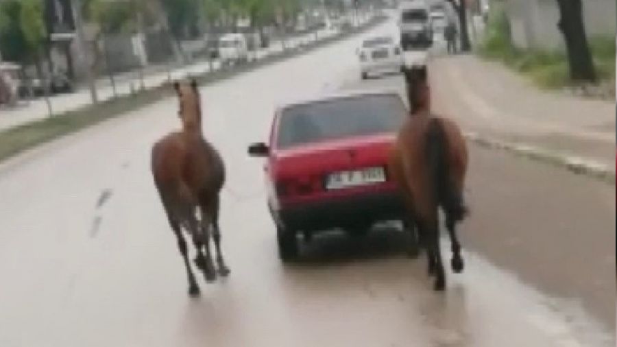 O s�r�c�ye ceza ya�d�