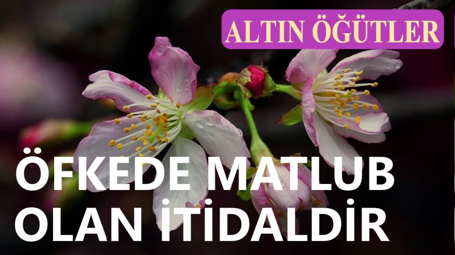 Öfkede matlub olan itidaldir