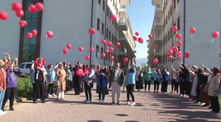 renciler gkyzne 103 balon brakt