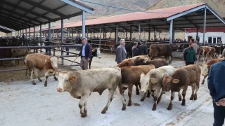 Oltu'da ap hastal nedeniyle 3 aydr kapal olan pazar ald