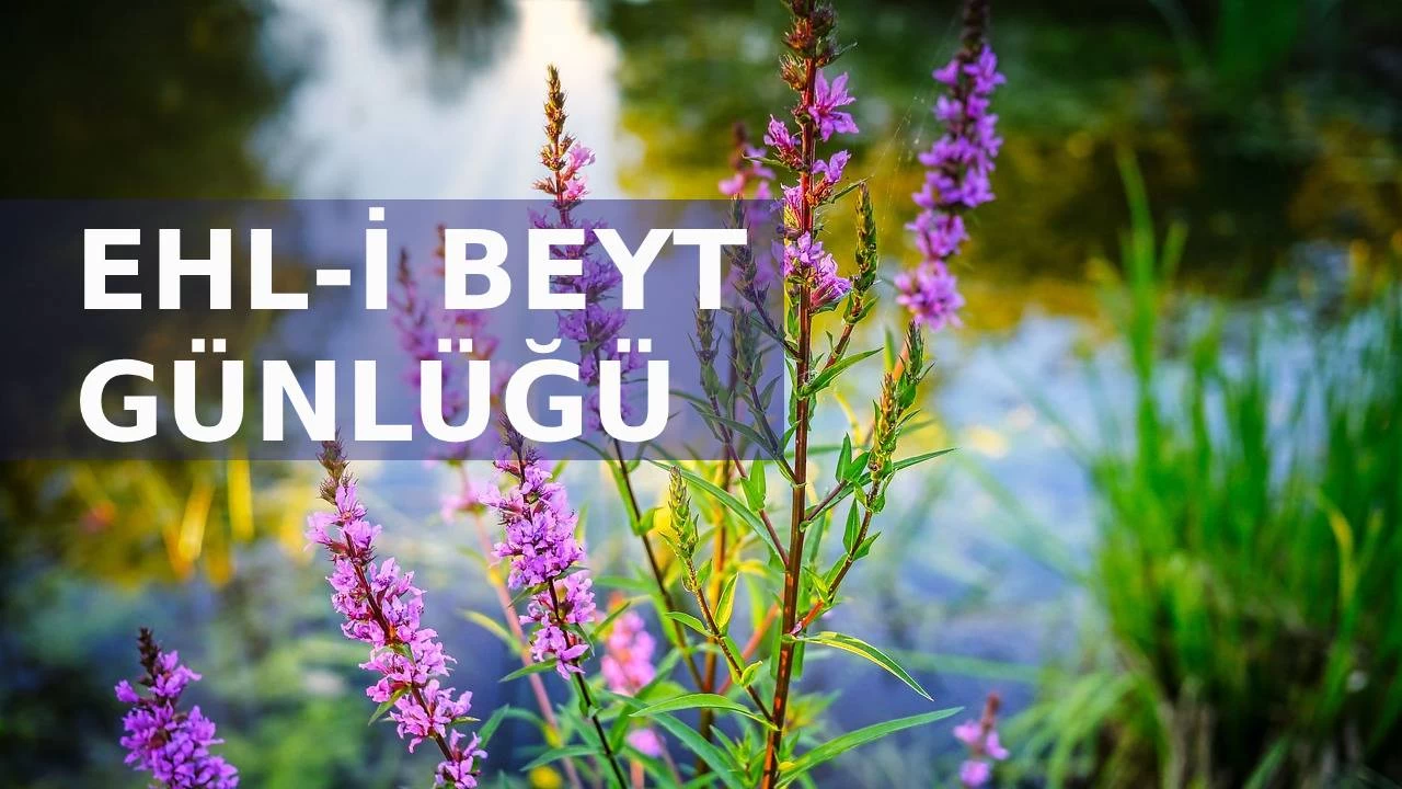 Onlar, Allah ile irtibatlarını kesmişlerdir