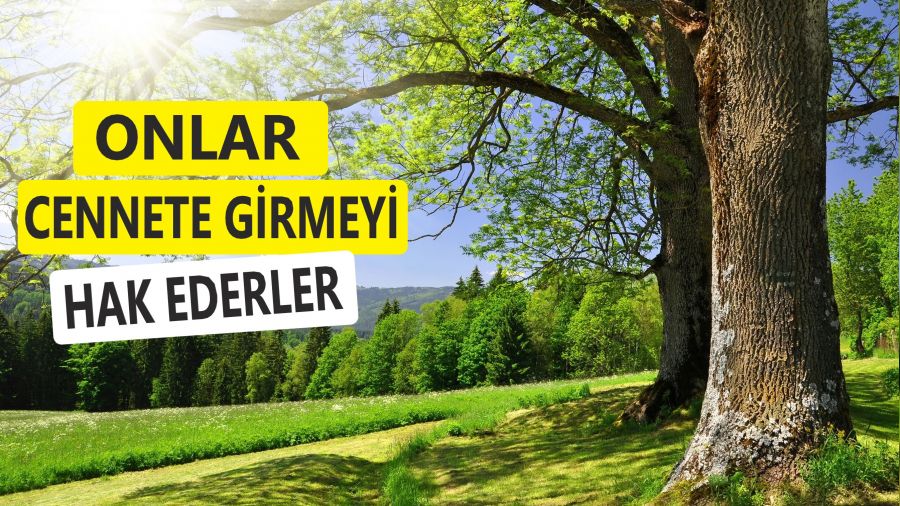 Onlar cennete girmeyi hak ederler