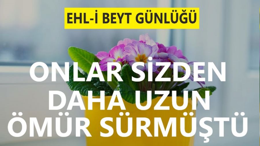 Onlar sizden daha uzun ömür sürmüştü