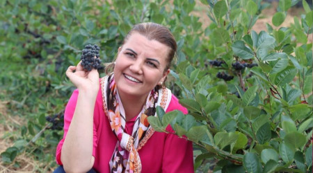 Onun adı süper meyve, faydaları saymakla bitmiyor