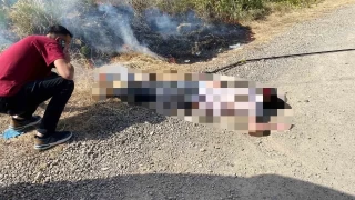 Ordu'da 17 yandaki gencin feci sonu