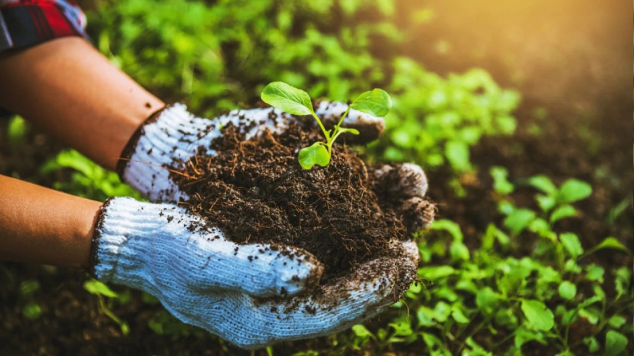 Organik tar�m: Do�al bir yakla��m