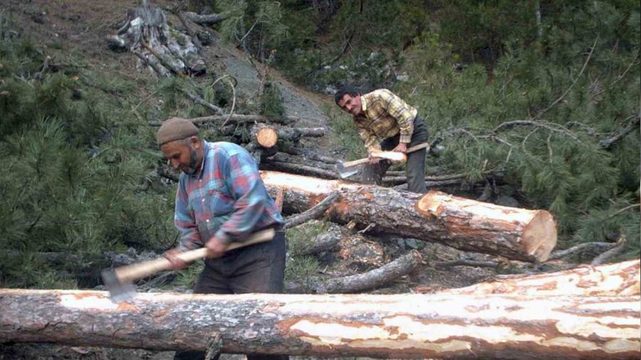 Orman k�yl�s�ne y�zde 70 indirim