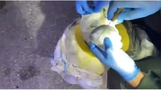 Osmaniye'de bal kabandan uyuturucu kt