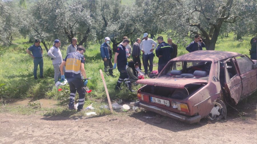 Otomobil zeytinliğe daldı: 4 yaralı
