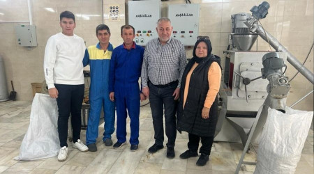 (ZEL) 93 eit bitki tohumundan ya retiyorlar