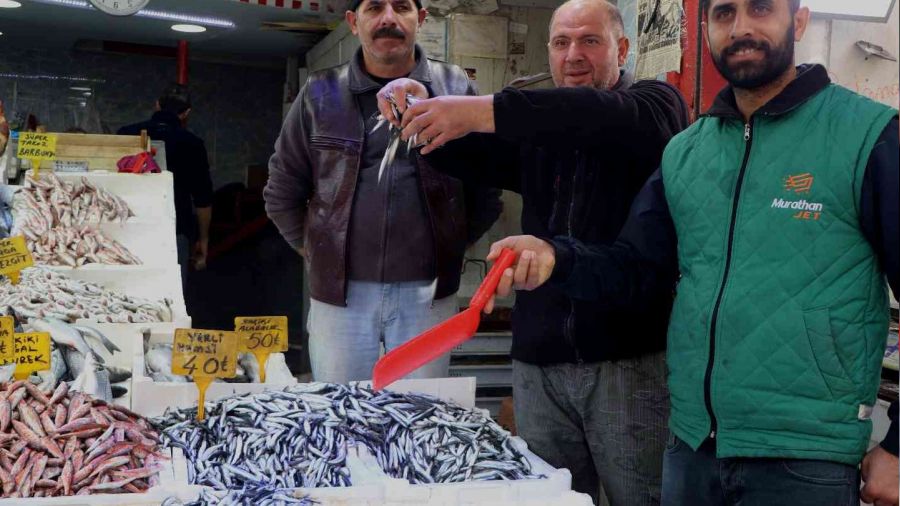 Palamuda doyan vatandaş hamsiye yöneldi