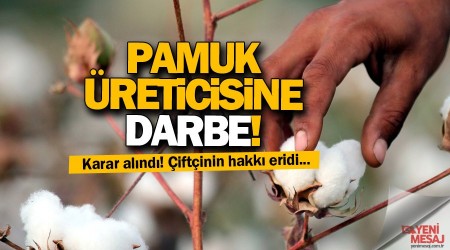 Pamuk üreticisine prim darbesi