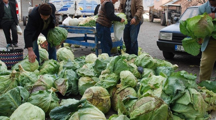 Pancar üretiminde beklentiler yüksek