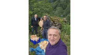 Rize'de 3 arkada aacn zerinde kilolarca mantar buldu